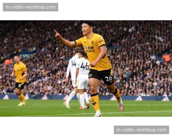 狼队宣布与赞助商续签五年合约，金额创俱乐部纪录